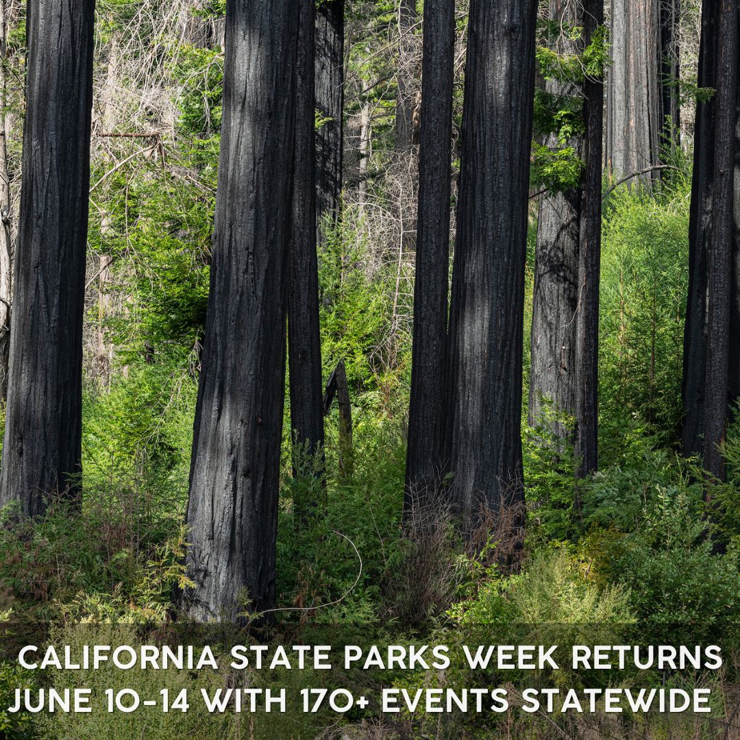 California State Parks Week Returns for Fifth Year with More Than 170 Events Statewide, June 10-14